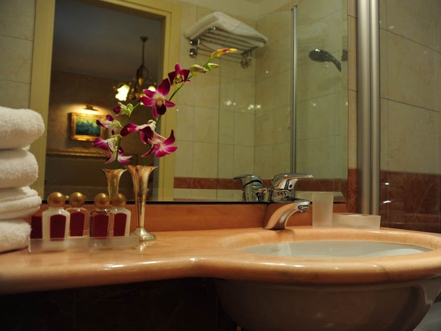 Viktoria Palace Hotel